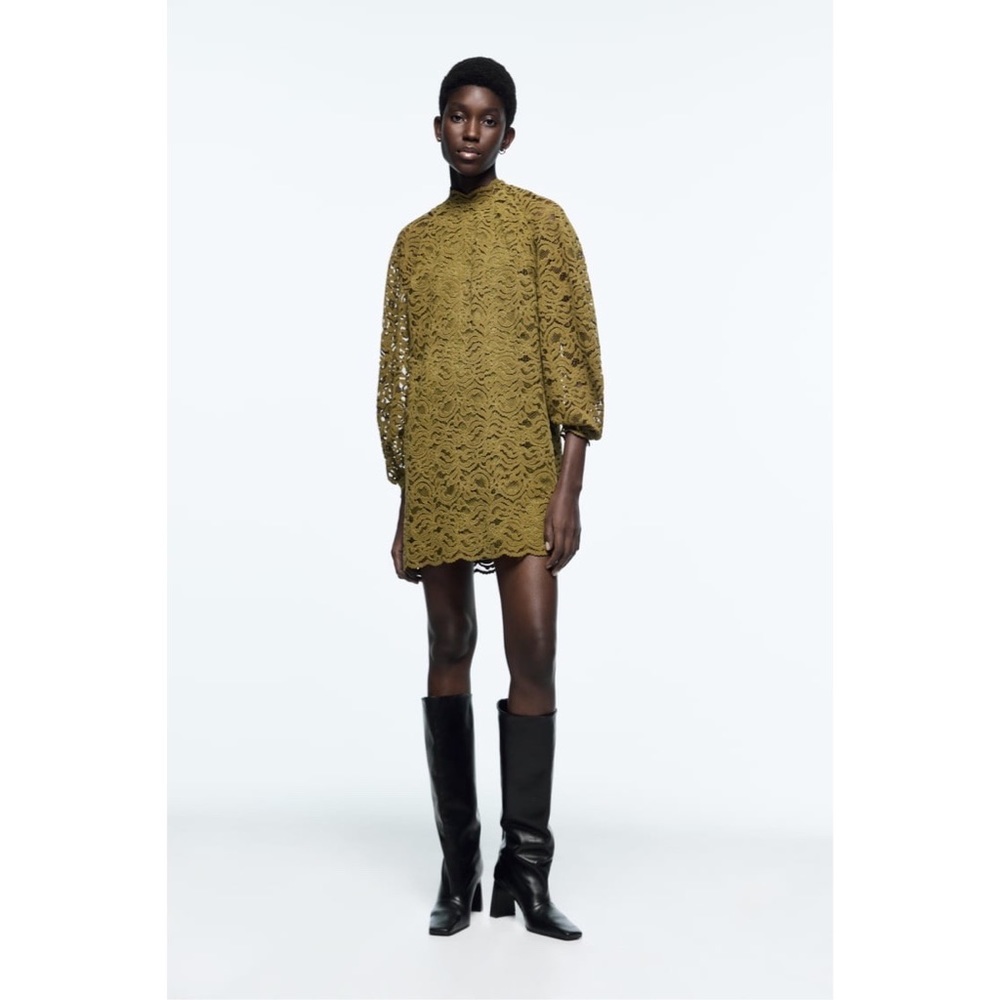 NWT Zara VELVET LACE DRESS